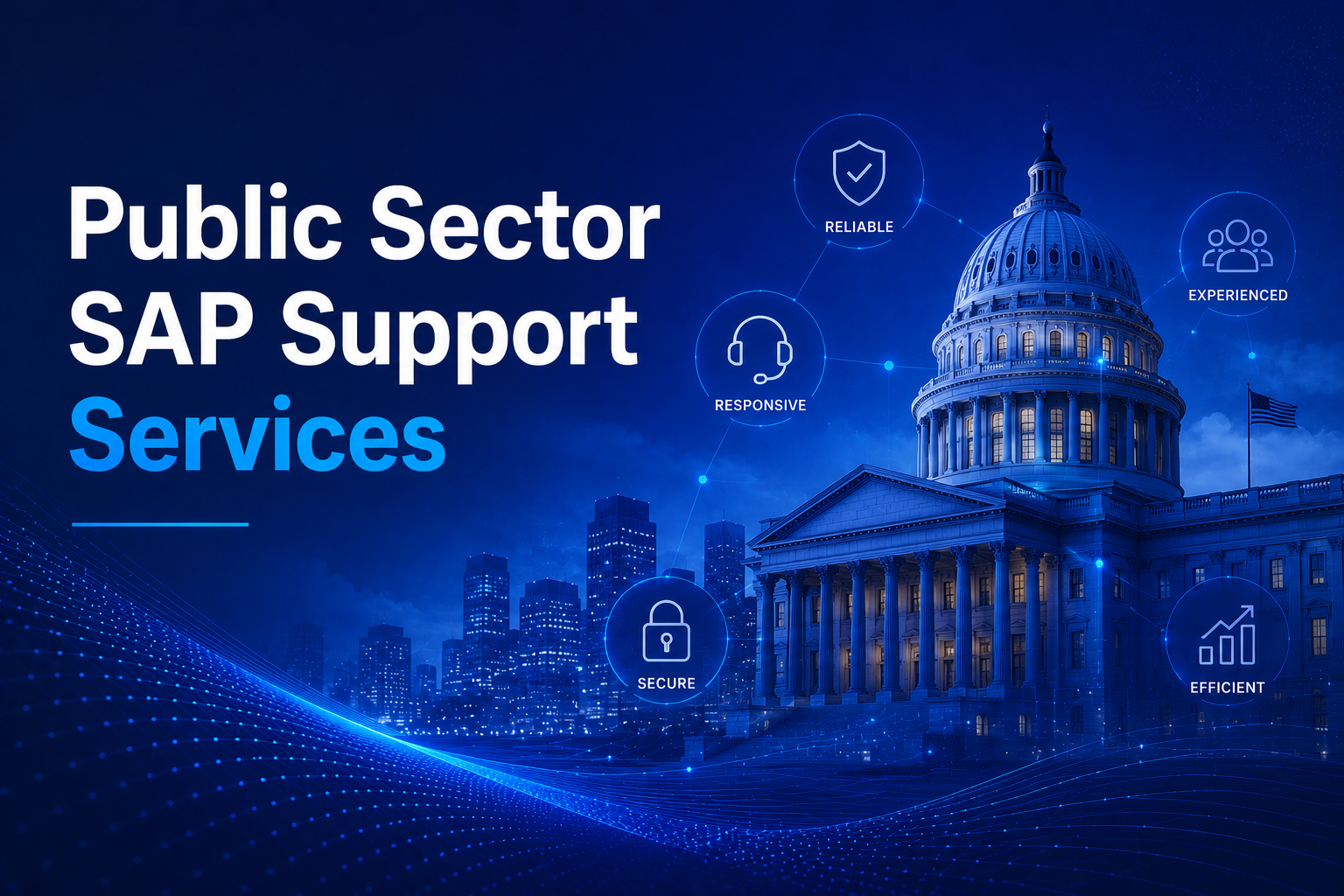 Public Sector SAP Support Services